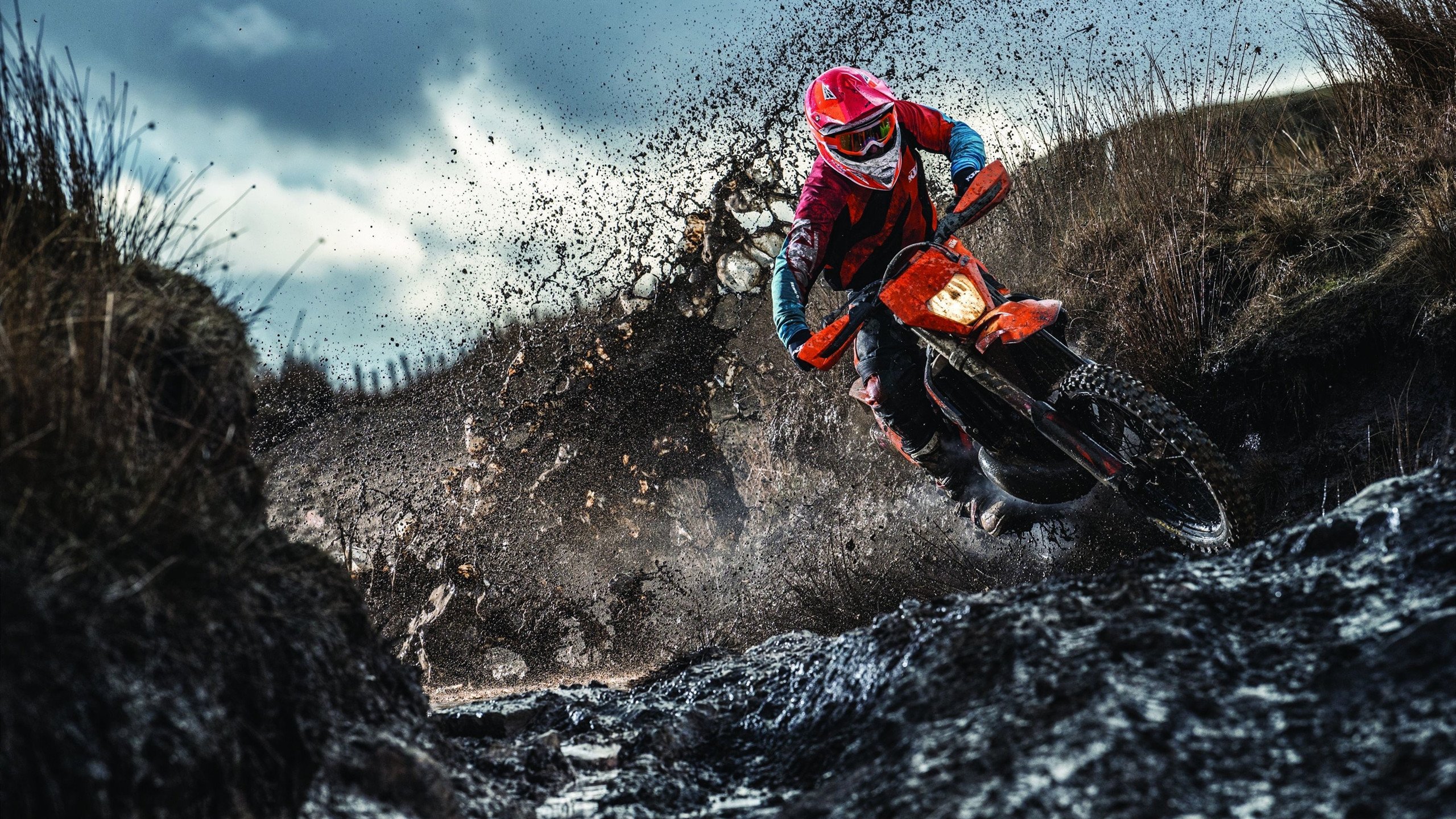 开云电竞平台-“豪车极速：性能与美学的极致表现”，豪车欣赏